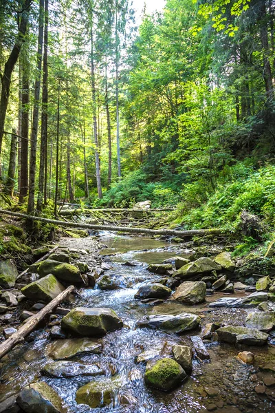 Yaremche dağın Nehri
