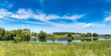 Sakin gölet ve su bitkileri