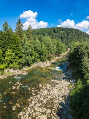 Dağ nehir Prut Yaremche içinde