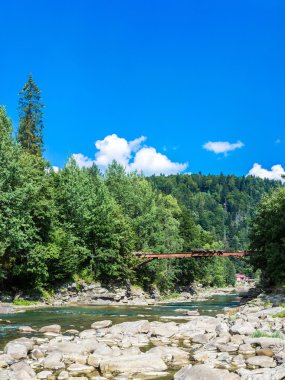 Dağ nehir Prut Yaremche içinde