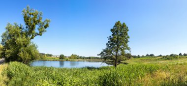 Sakin gölet ve su bitkileri