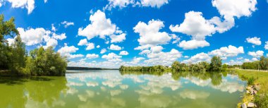 Sakin gölet ve su bitkileri