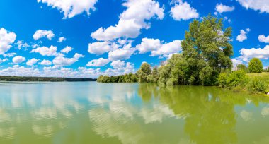 Sakin gölet ve su bitkileri