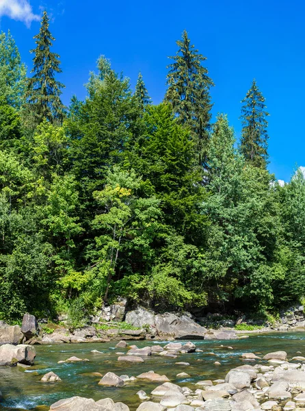 Río de montaña Prut en Yaremche — Foto de Stock