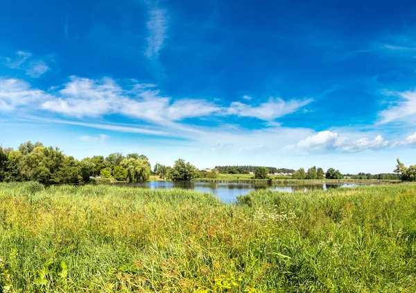 Lugn damm och vatten växter — Stockfoto