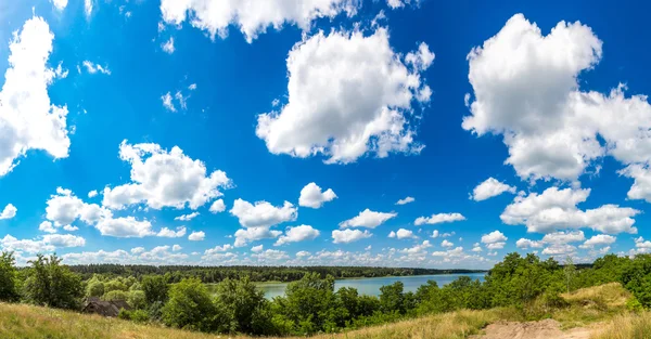 Calma stagno e piante acquatiche — Foto Stock