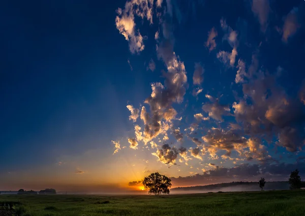 Hermoso amanecer y árbol — Foto de Stock