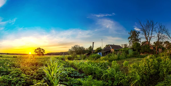 Paisaje rural mañana — Foto de Stock