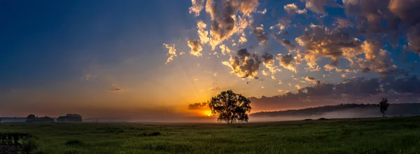 Hermoso amanecer y árbol — Foto de Stock