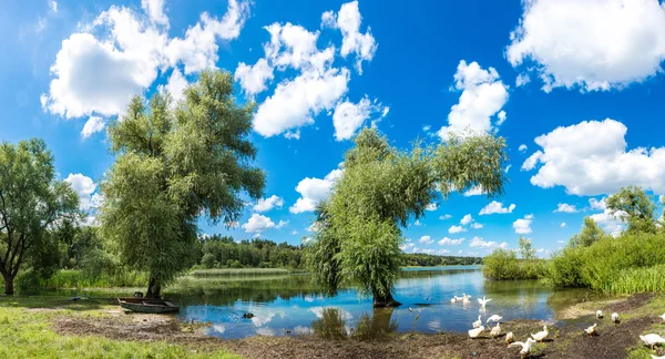 Calma stagno e piante acquatiche — Foto Stock