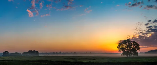 Belo nascer do sol e árvore — Fotografia de Stock