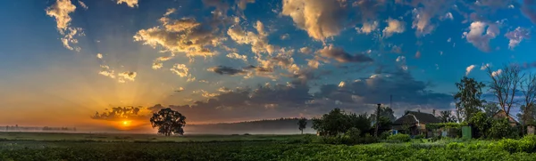 Belo nascer do sol e árvore — Fotografia de Stock