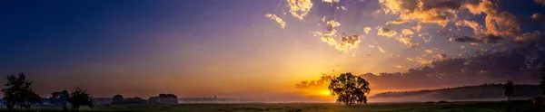 Hermoso amanecer y árbol — Foto de Stock