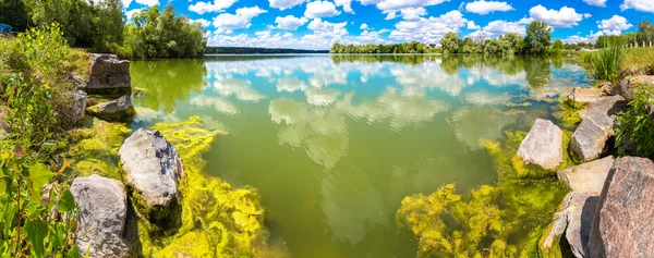 Lugn damm och vatten växter — Stockfoto