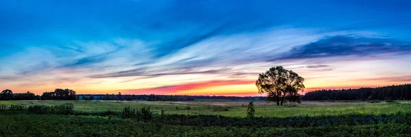 Hermoso amanecer y árbol —  Fotos de Stock