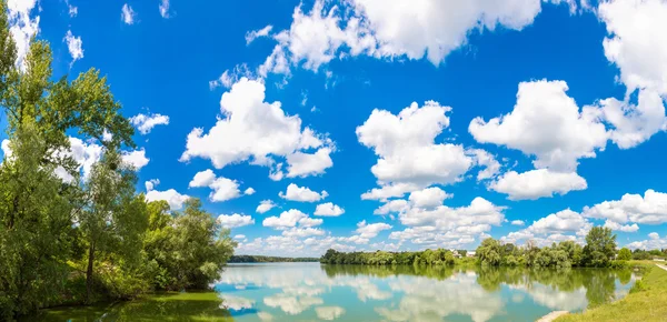 Sakin gölet ve su bitkileri