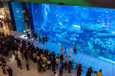 dubai alışveriş merkezi Akvaryum