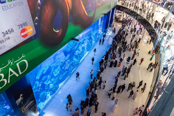 Acuario en Dubai Centro Comercial —  Fotos de Stock