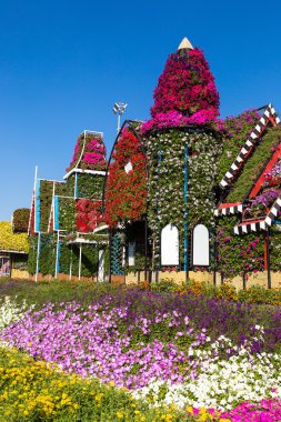 dubai mucize bahçesi