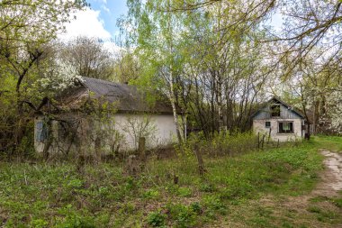 Çernobil'de terk edilmiş köy