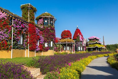 dubai mucize bahçesi