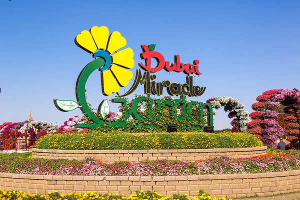 Dubai miracle garden — Stock Photo, Image