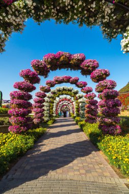 dubai mucize bahçesi