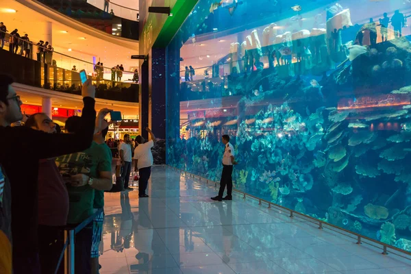 Akvarium i dubai mall — Stockfoto