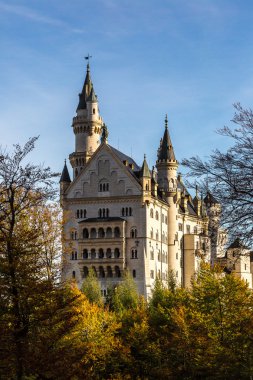 Almanya 'daki Neuschwanstein kalesi