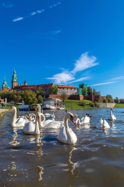 Krakow 'daki Wawel Kalesi