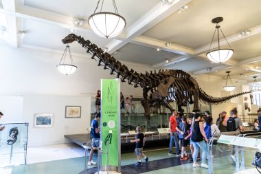 NEW YORK CITY, ABD - 29 Mart 2020: New York City, ABD 'deki American Museum of Natural History' deki dinozor