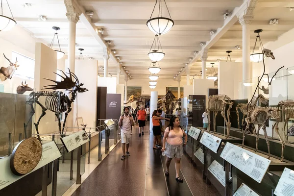 Nova Iorque Cidade Eua Março 2020 Interior Museu Americano História — Fotografia de Stock