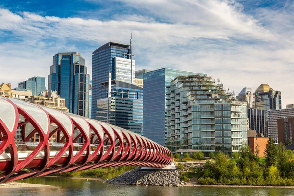 Kalgarien Kanada April 2020 Fredsbron Över Bow Floden Calgary Solig — Stockfoto