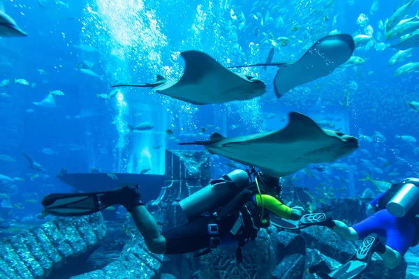 ドバイ アラブ首長国連邦 エイプリル5 2020 ロストチャンバーのスキューバダイバー アラブ首長国連邦のドバイにあるホテルアトランティスの大型水族館 — ストック写真