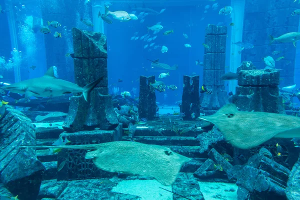 Dubai Uae April 2020 Lost Chambers Large Aquarium Hotel Atlantis — Stock Photo, Image
