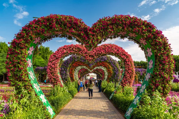 Dubai Emirados Arab Unidos Março 2020 Jardim Milagroso Dubai Dia — Fotografia de Stock