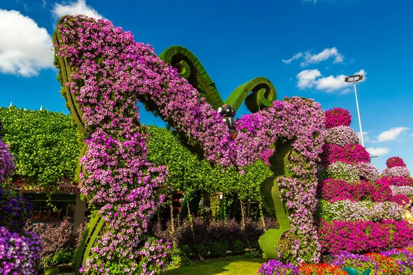 Dubai Emirados Arab Unidos Março 2020 Jardim Milagroso Dubai Dia — Fotografia de Stock