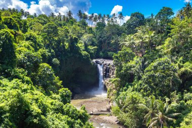 Endonezya Bali 'deki Tegenungan Şelalesi' nin güneşli bir günde panoramik görüntüsü