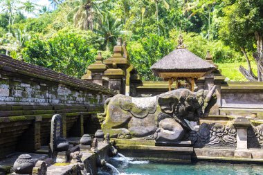 Endonezya, Bali 'deki Pura Tirta Boş Tapınağı' nda kutsal su