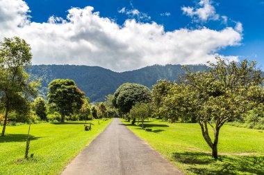Bali Yolu, Endonezya Güneşli bir günde