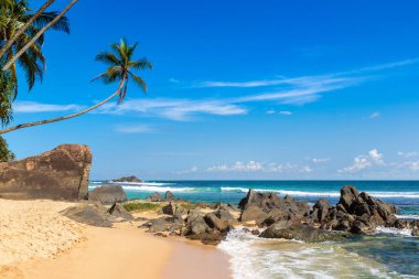 Sri Lanka 'da güneşli bir günde Dalawella Sahili' nde kayalar ve palmiye ağaçları