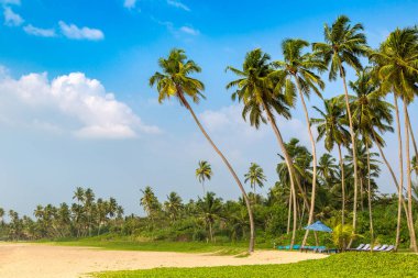 Sri Lanka 'da güneşli bir günde Shinagawa tropikal plajı