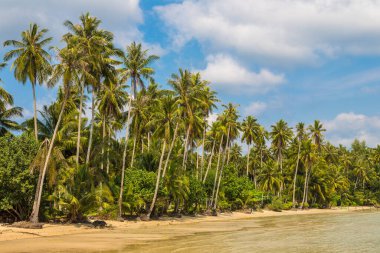 Bir yaz gününde güzel tropikal plajlar