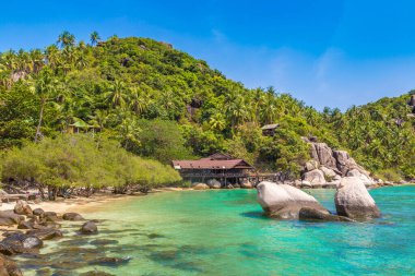 Tayland 'daki Koh Tao adasında özgürlük plajı.