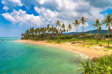 Güneşli bir günde Tayland 'ın Koh Lanta Yai adasında Khong Klong plajı