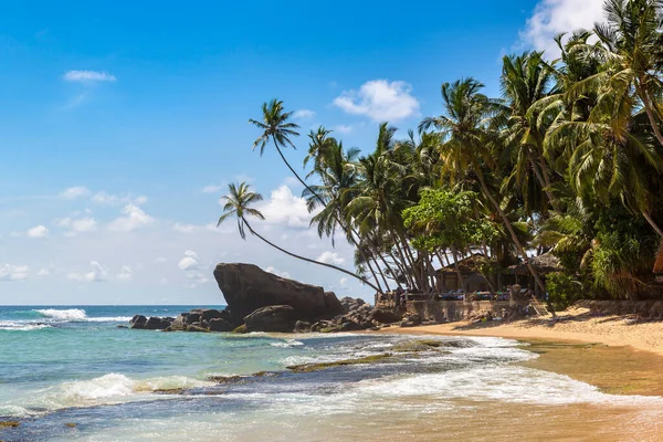 Sri Lanka Güneşli Bir Günde Dalawella Sahili Nde Kayalar Palmiye — Stok fotoğraf
