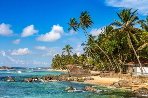 Скала Пальма Пляже Далавелла Солнечный День Шри Ланке — стоковое фото