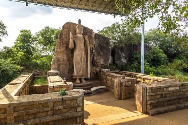 Statue Bouddha Dans Temple Avukana Temple Aukana Sri Lanka — Photo