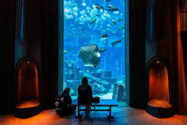 Dubai Emirati Arabi Uniti Giugno 2018 Camere Perdute Grande Acquario — Foto Stock