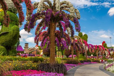 DUBAI, BİRLİK ARAB EMIRATES - 29 Mart 2020: Güneşli bir günde Dubai Mucize Bahçesi, Birleşik Arap Emirlikleri